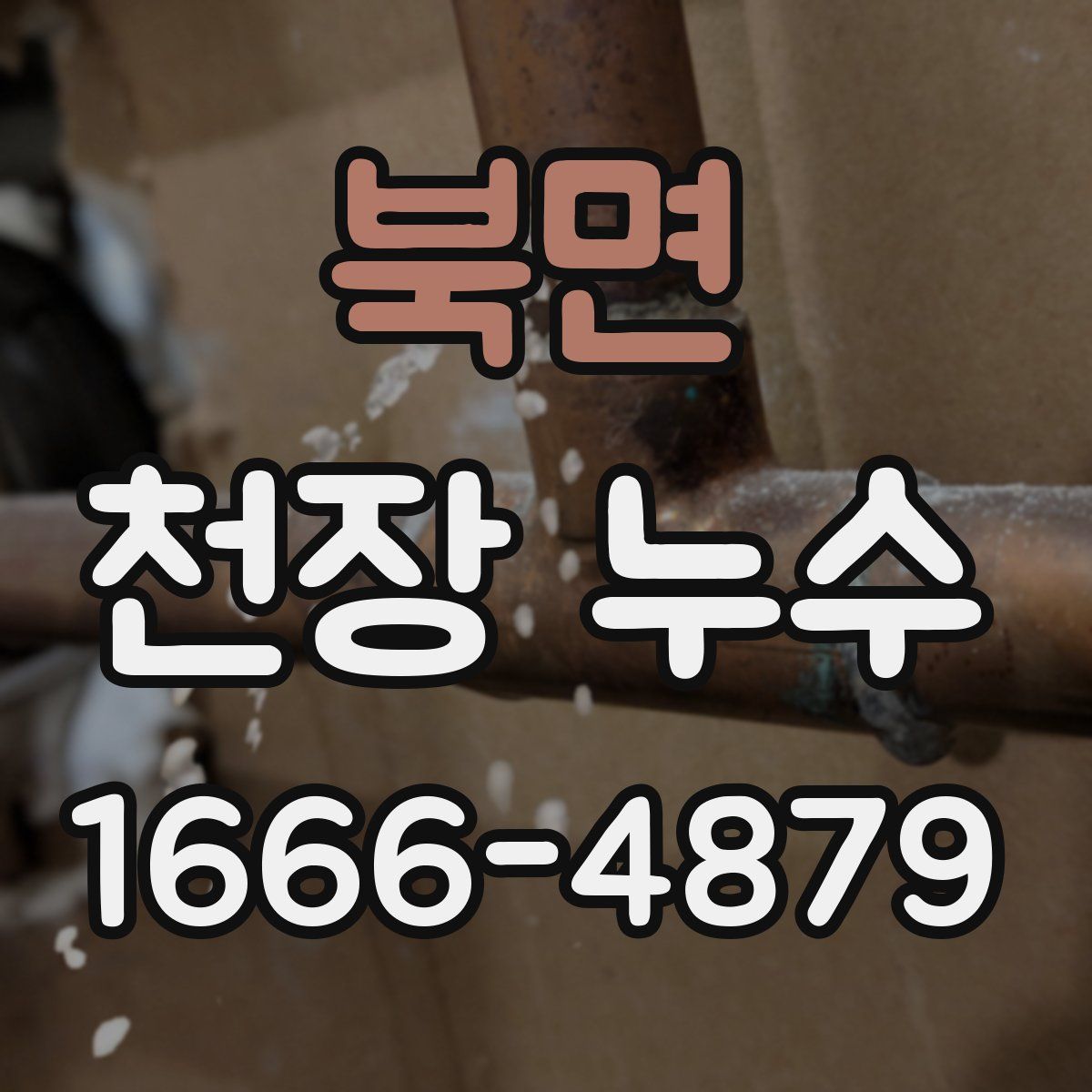 북면 천장 누수