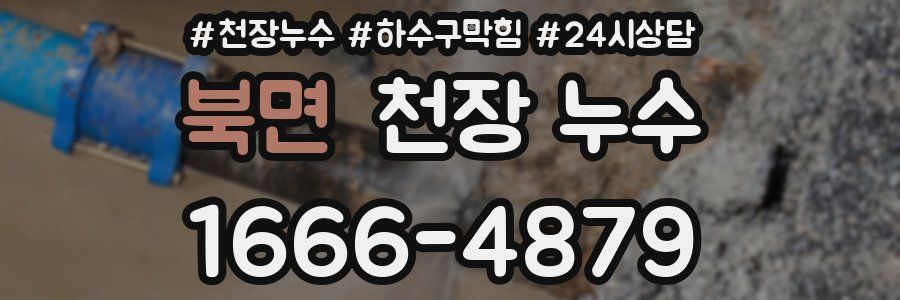 북면 천장 누수