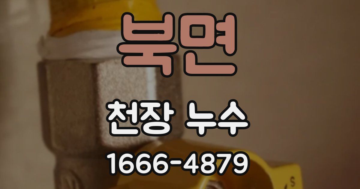 북면 천장 누수