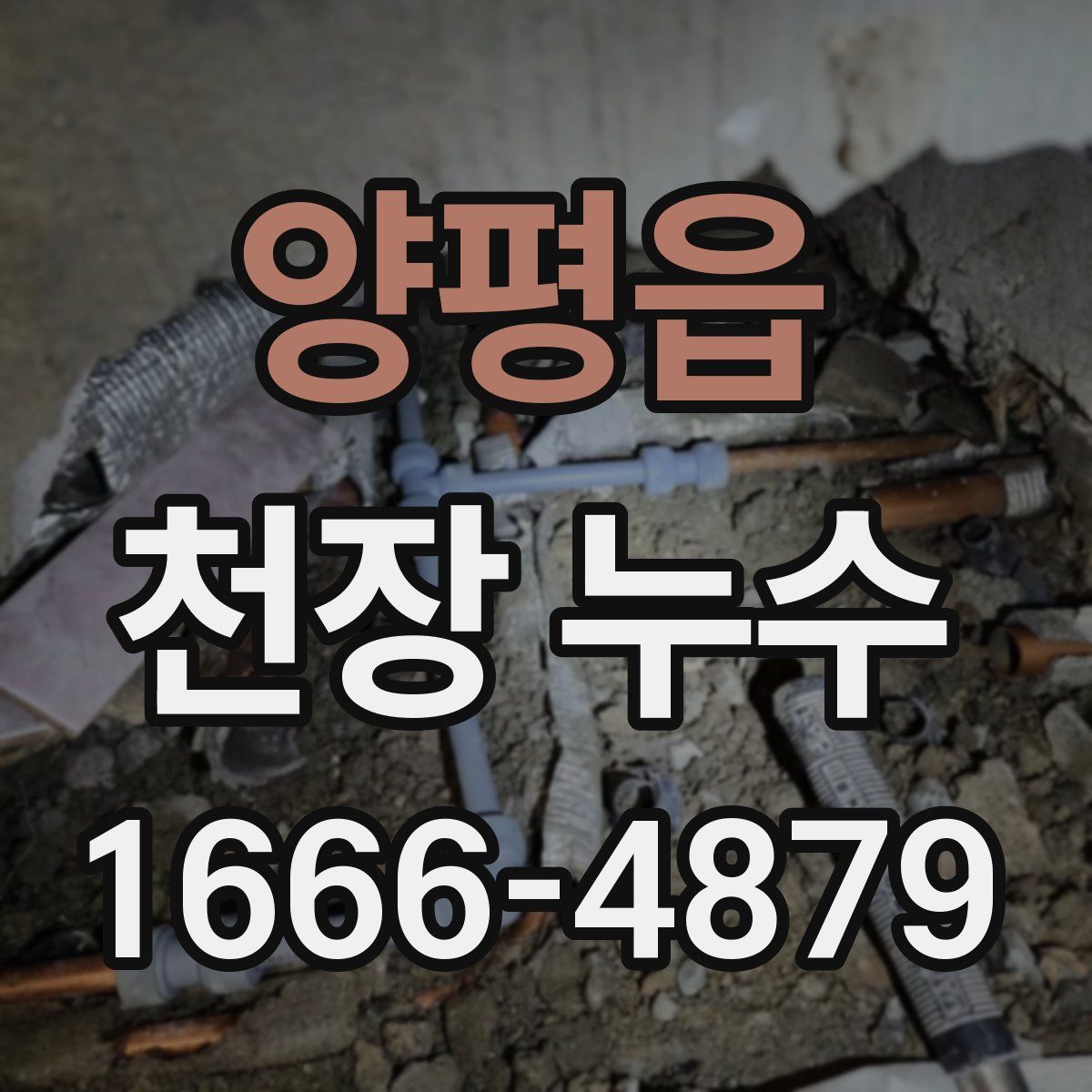 양평읍 천장 누수