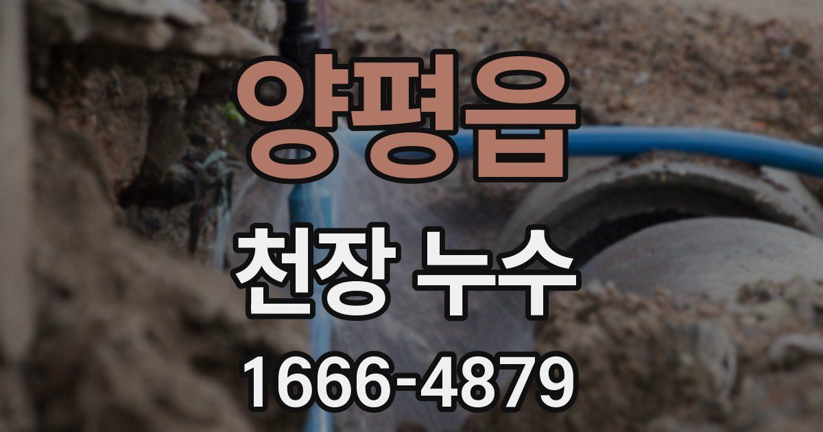 양평읍 천장 누수