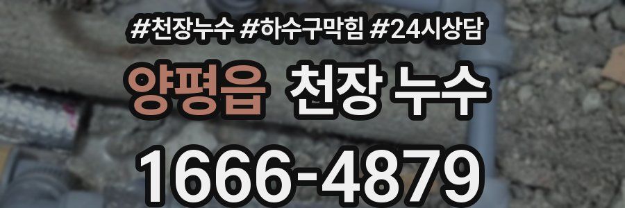 양평읍 천장 누수