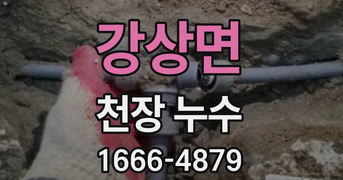 강상면 천장 누수