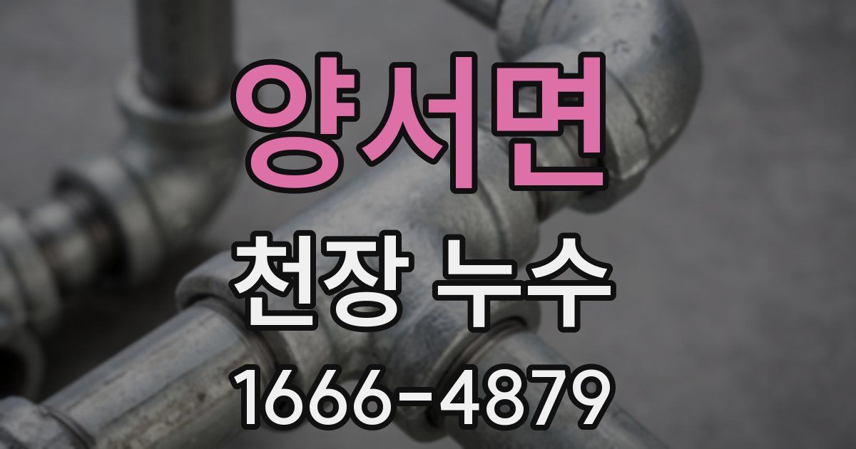 양서면 천장 누수