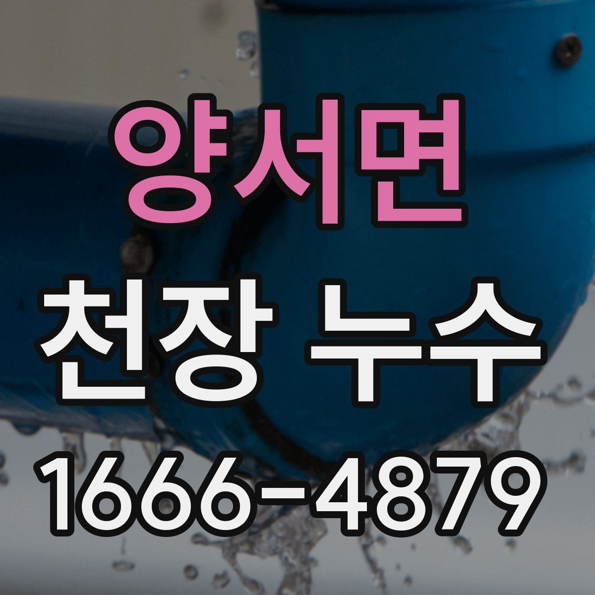 양서면 천장 누수