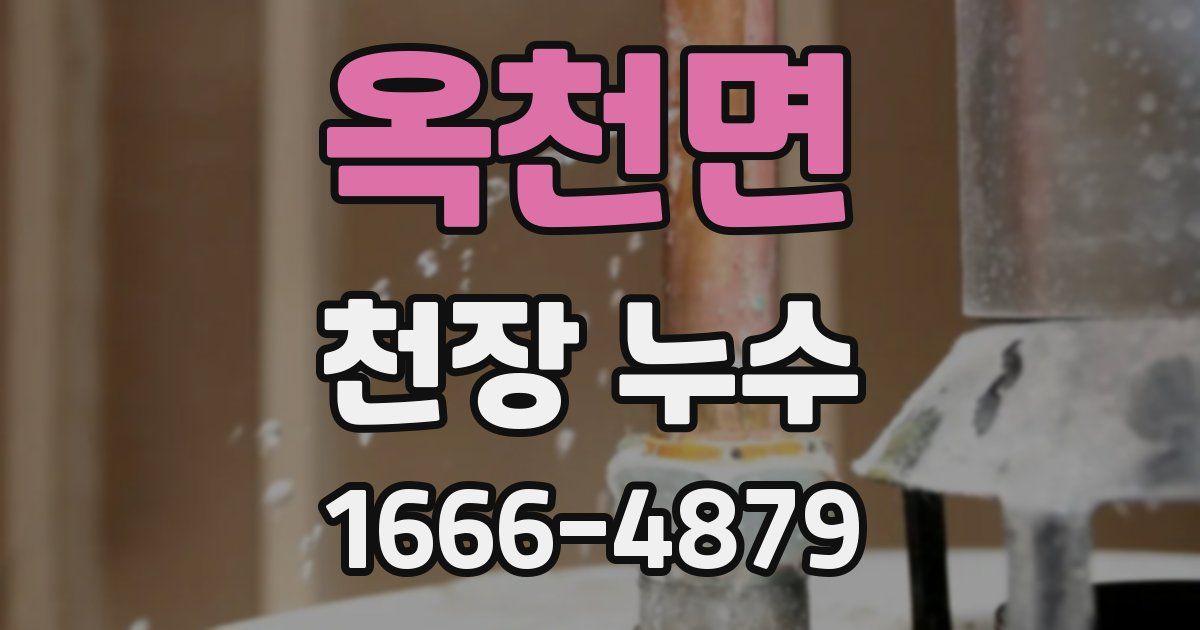 옥천면 천장 누수