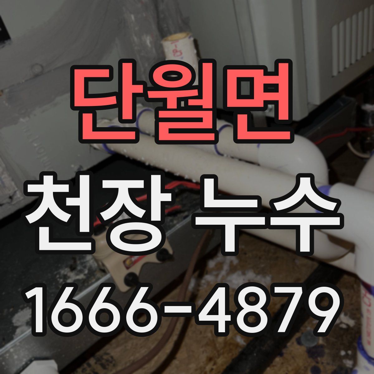 단월면 천장 누수