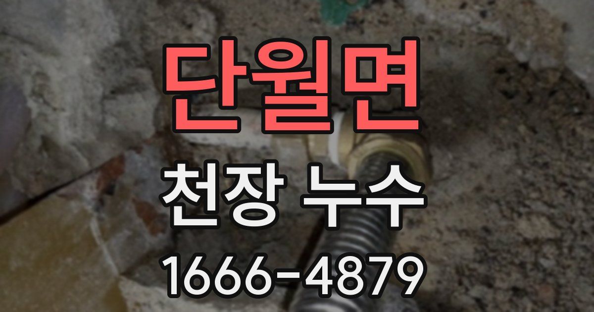 단월면 천장 누수