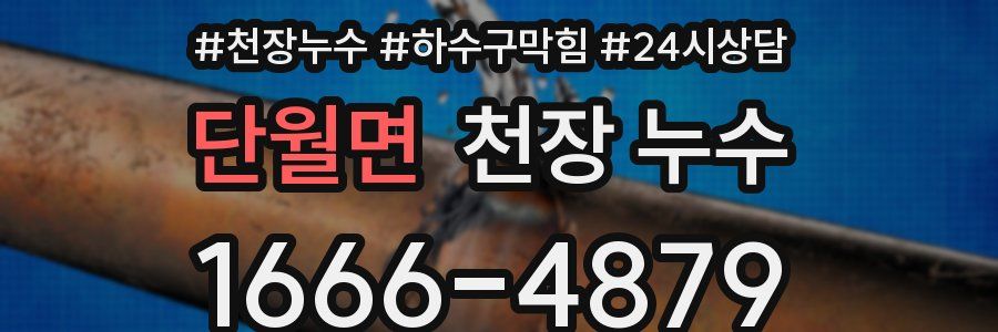 단월면 천장 누수