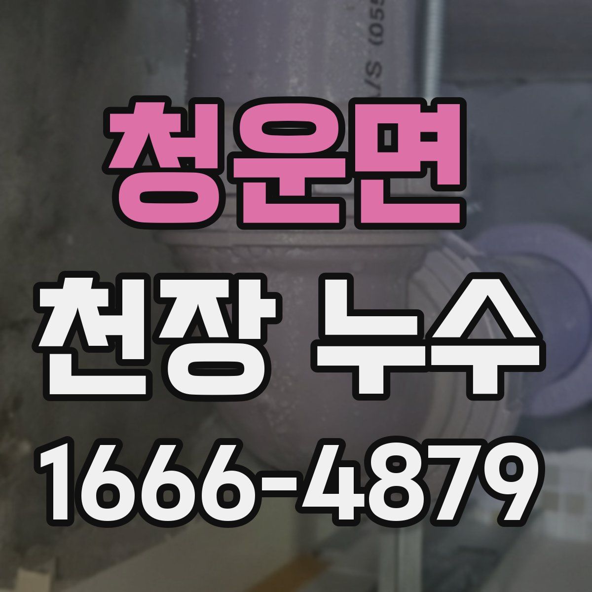 청운면 천장 누수