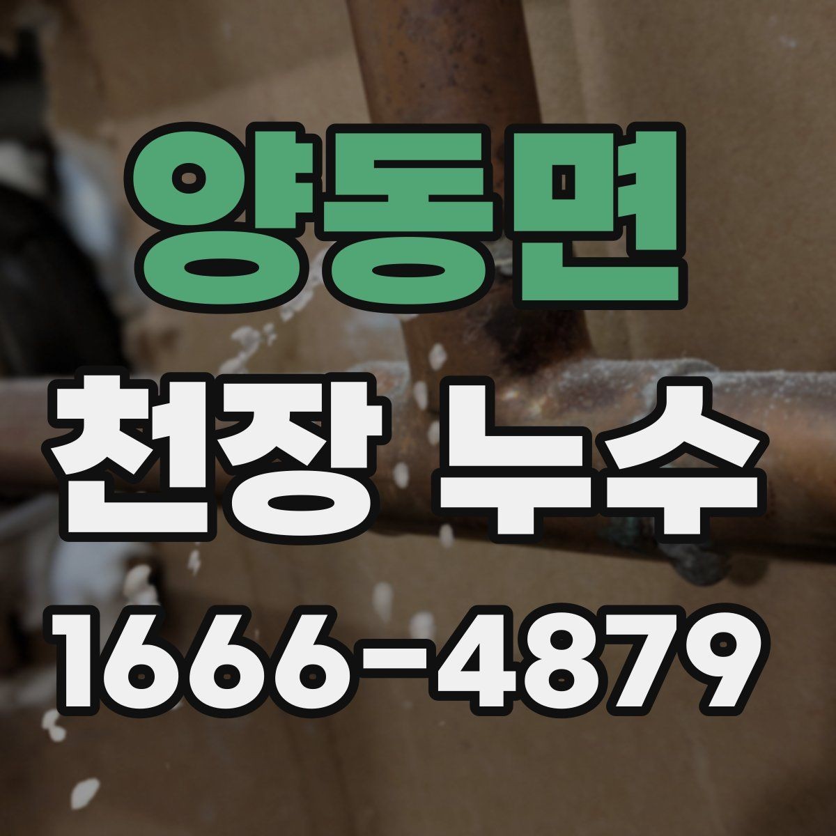 양동면 천장 누수 상부 배관에서 새는지 확인하는 포인트