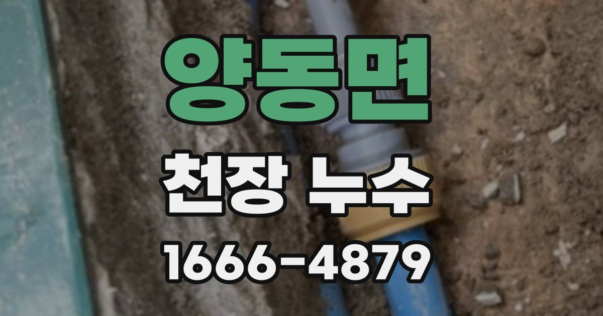 양동면 천장 누수