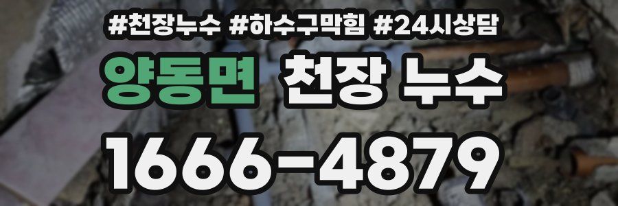 양동면 천장 누수