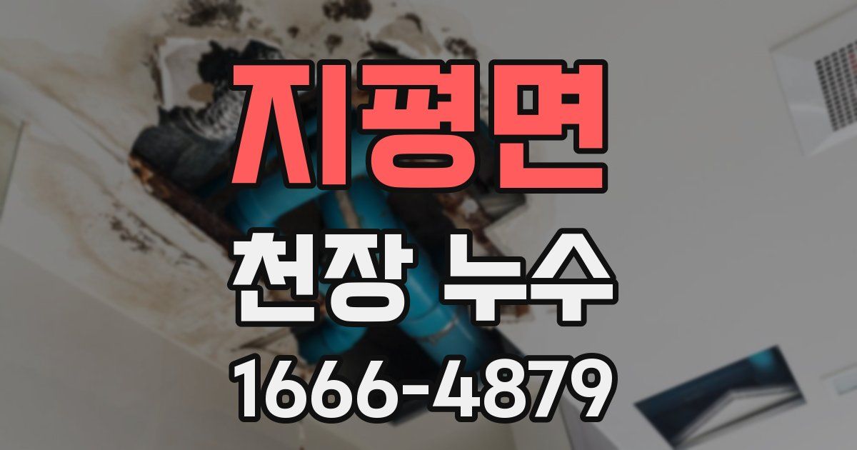지평면 천장 누수