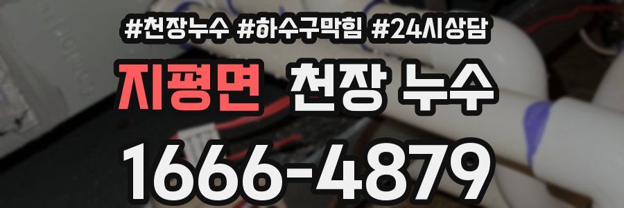 지평면 천장 누수