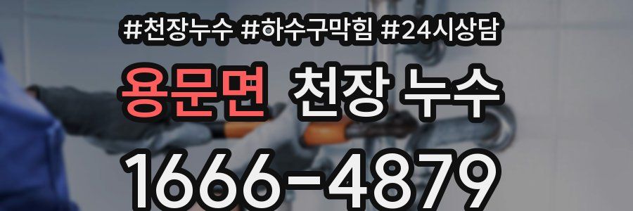 용문면 천장 누수