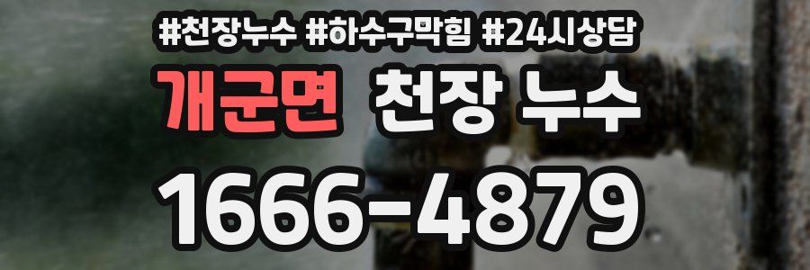 개군면 천장 누수