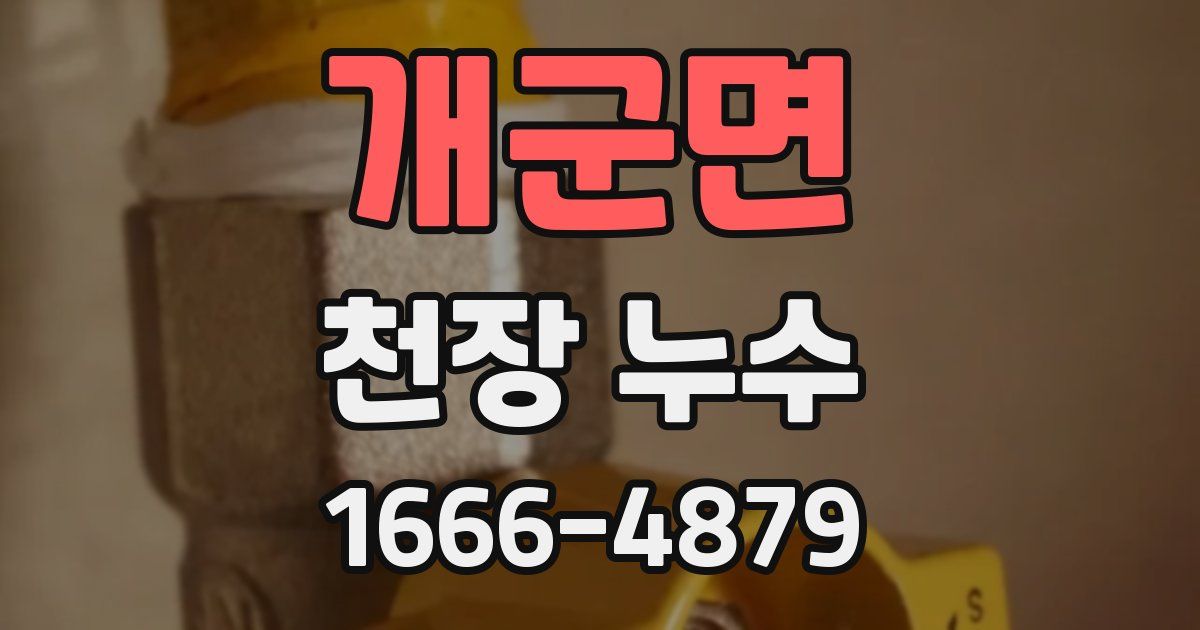 개군면 천장 누수