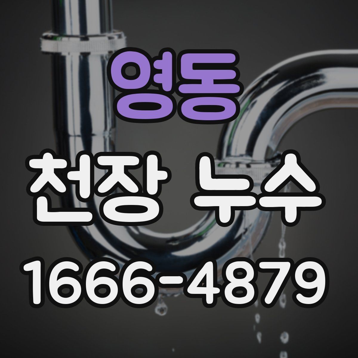 영동 천장 누수 점검구 주변이 젖는다면 위층 배관 의심