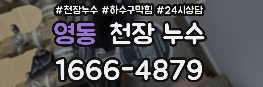 영동 천장 누수