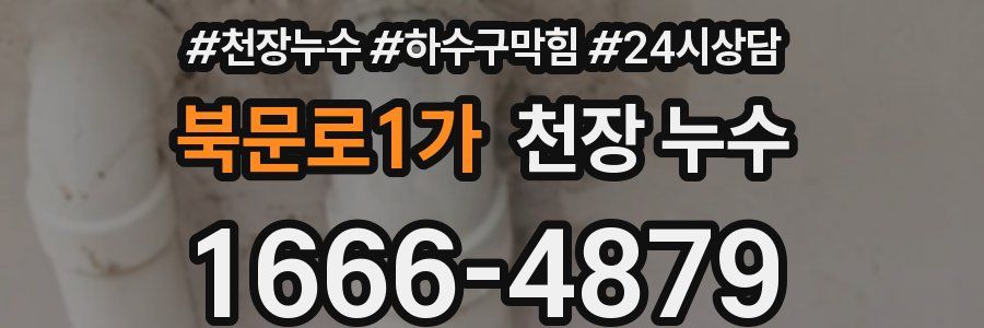 북문로1가 천장 누수