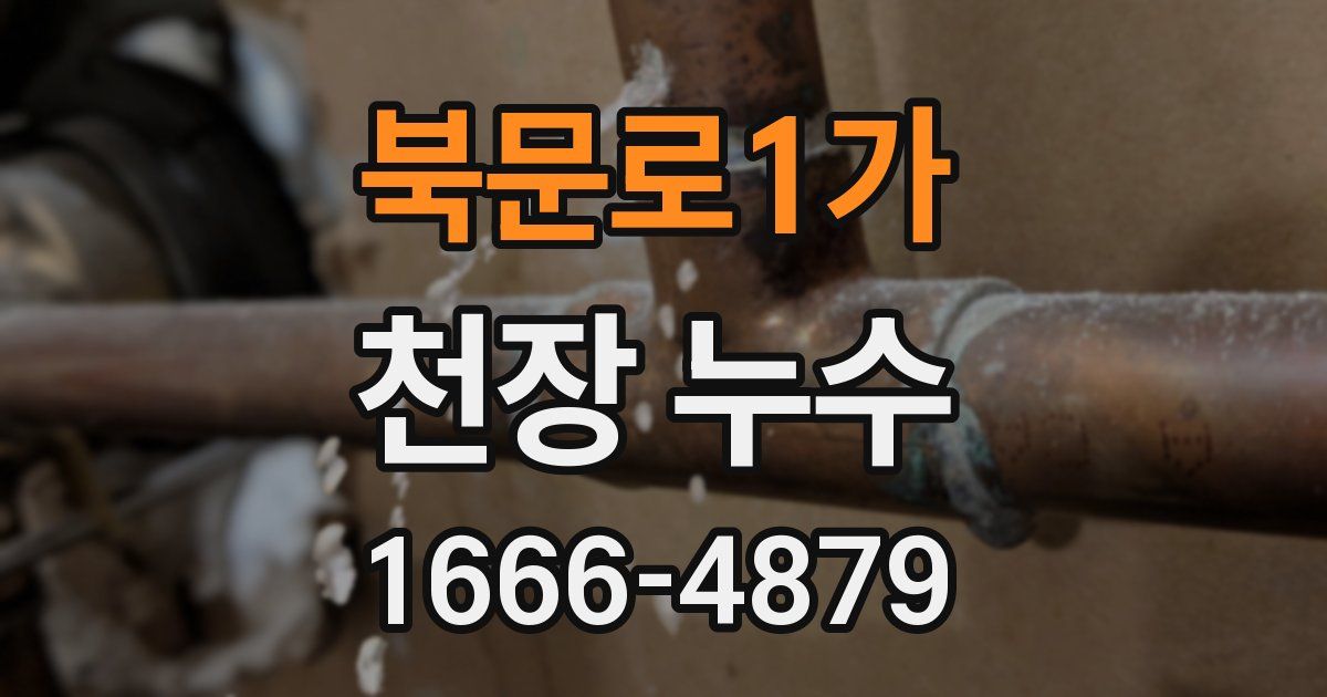 북문로1가 천장 누수