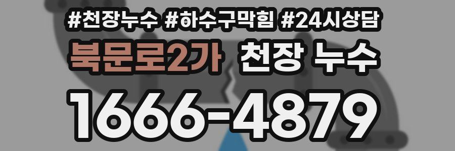 북문로2가 천장 누수