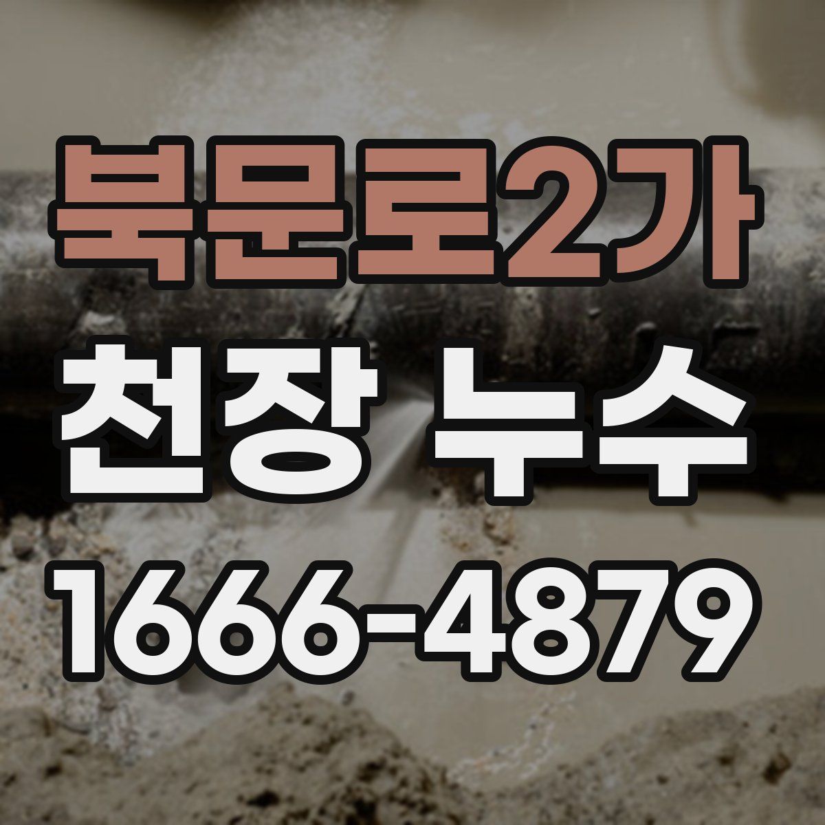 북문로2가 천장 누수