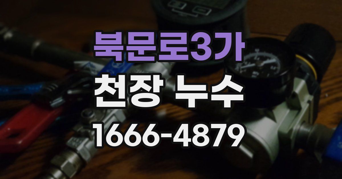 북문로3가 천장 누수