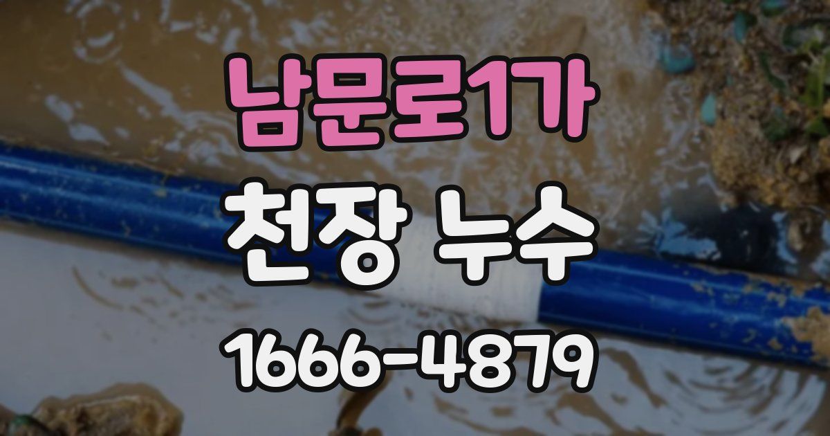 남문로1가 천장 누수