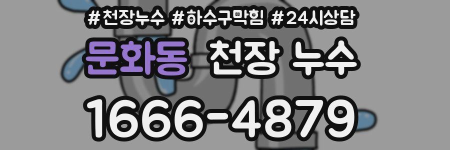 문화동 천장 누수