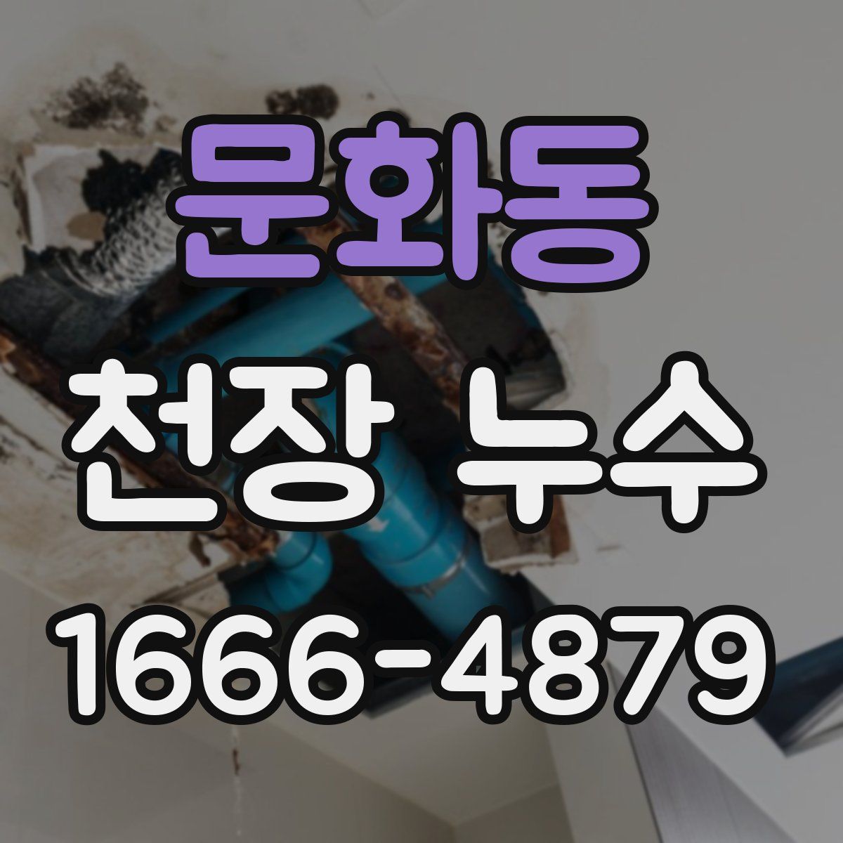 문화동 천장 누수