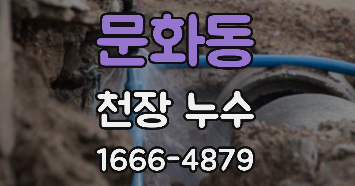 문화동 천장 누수