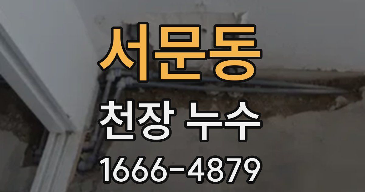 서문동 천장 누수