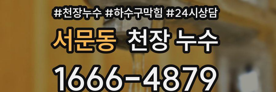 서문동 천장 누수