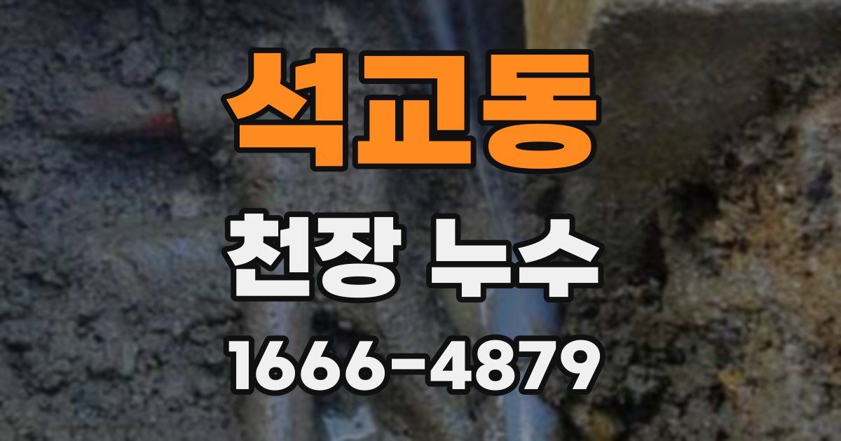 석교동 천장 누수