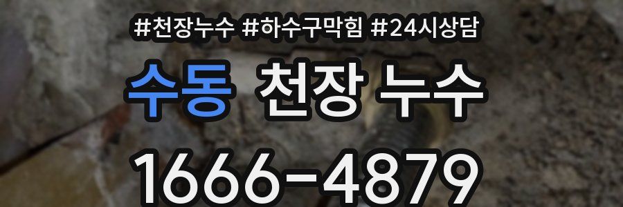 수동 천장 누수