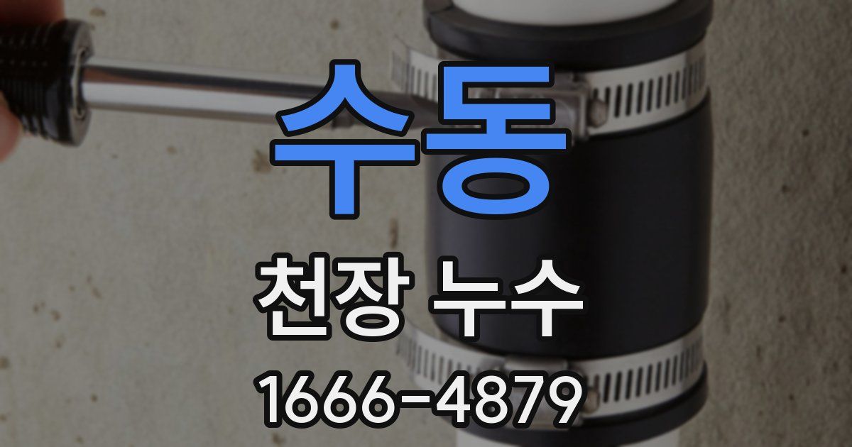 수동 천장 누수