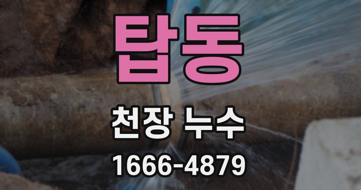 탑동 천장 누수