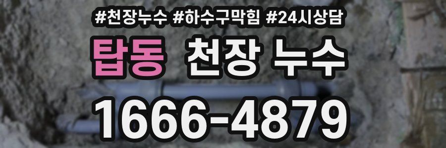 탑동 천장 누수