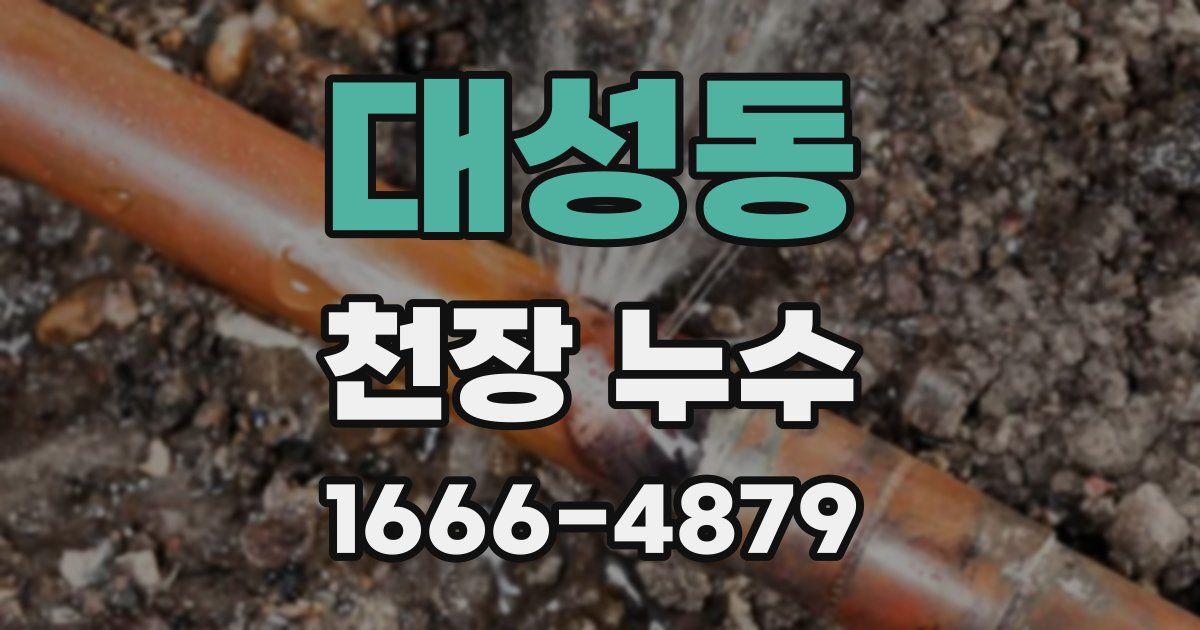 대성동 천장 누수