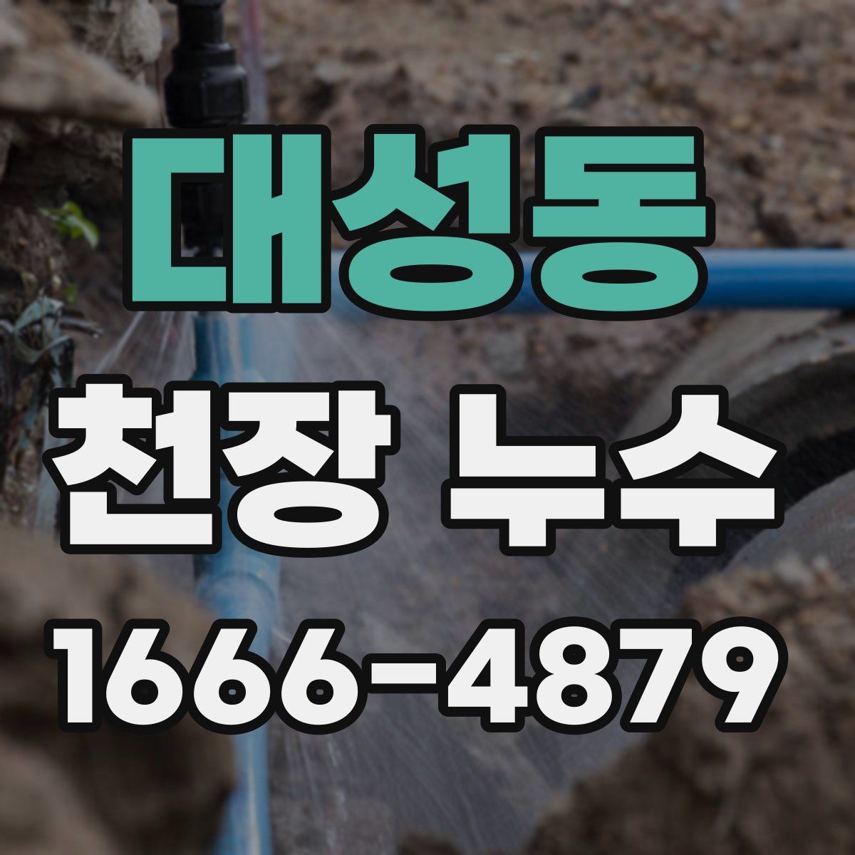 대성동 천장 누수