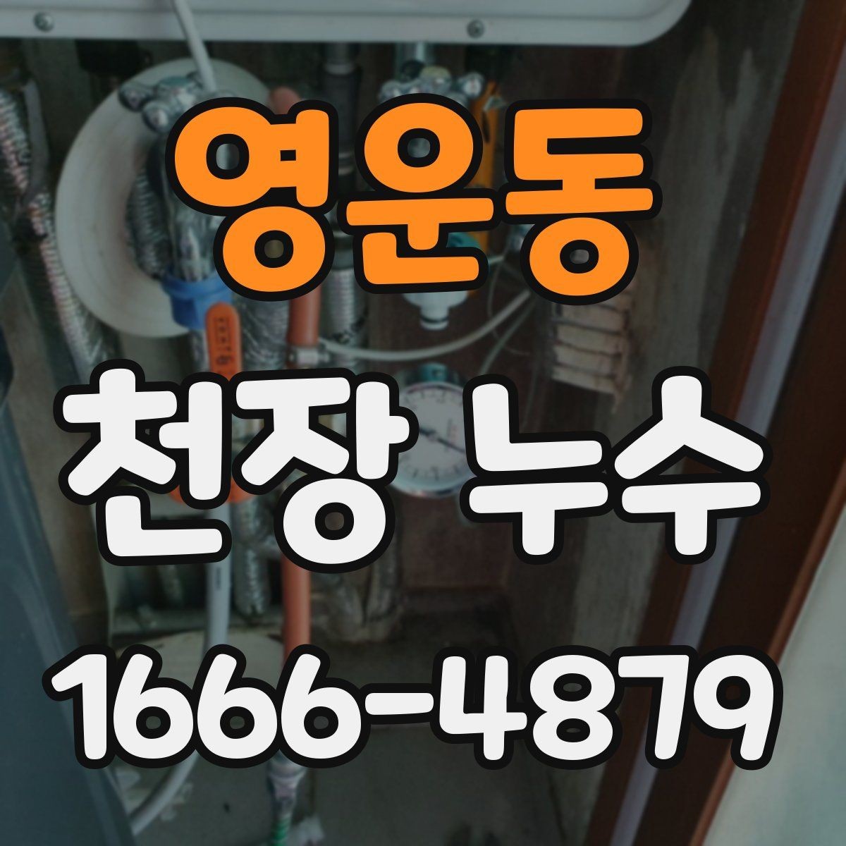 영운동 천장 누수 조명 주변이 젖으면 전기 안전도 함께 확인