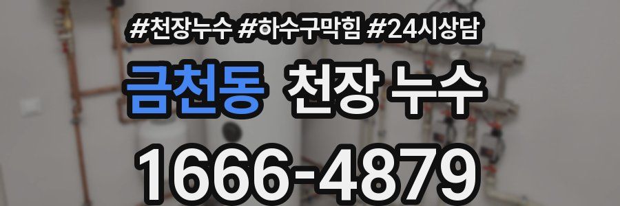 금천동 천장 누수