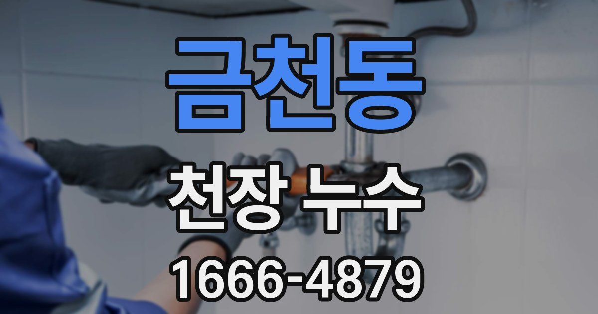 금천동 천장 누수