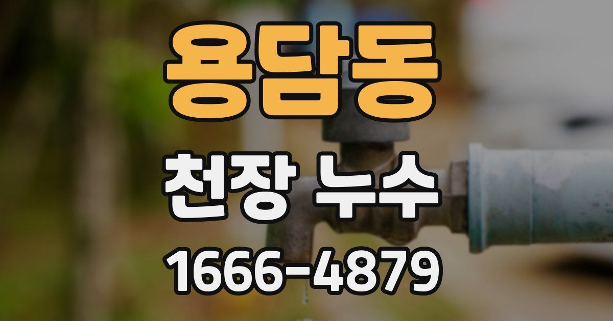 용담동 천장 누수