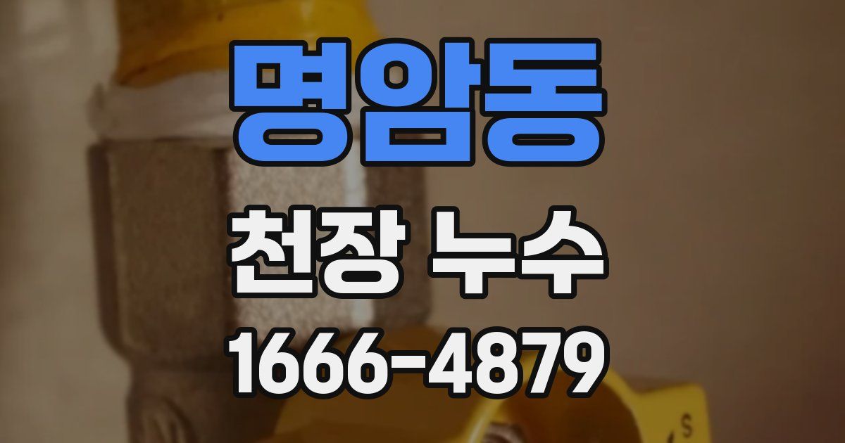 명암동 천장 누수