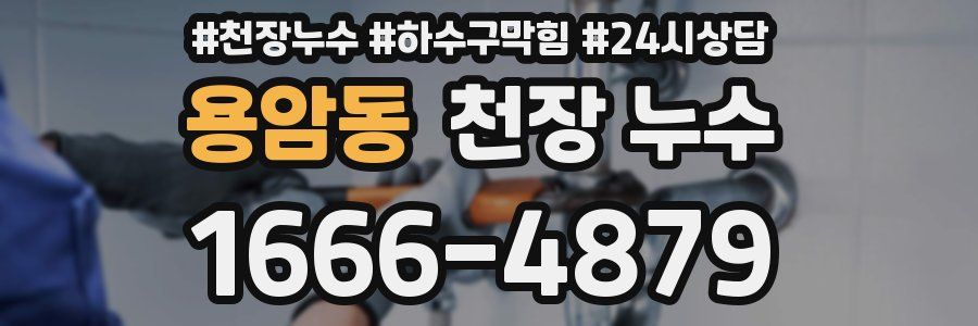 용암동 천장 누수