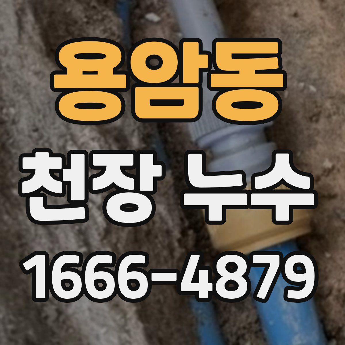 용암동 천장 누수