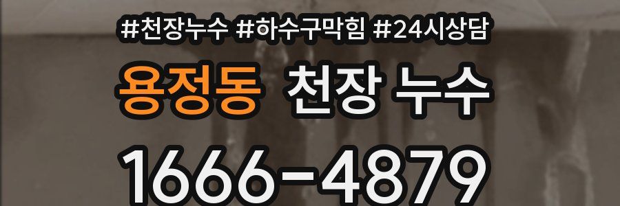 용정동 천장 누수